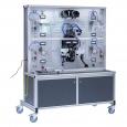 Training Stand Drive Dynamics Control 