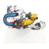 morepic-1