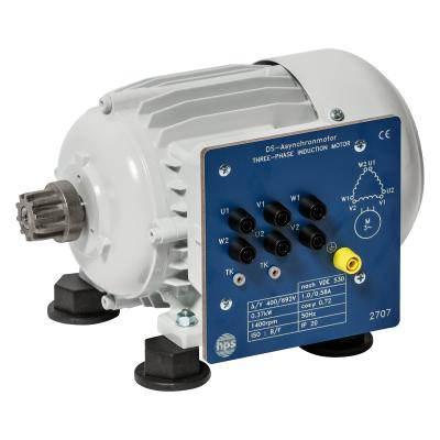 Three-phase Asynchronous Motor 
